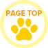 ▲PAGE TOP