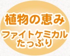 植物の恵み　ファイトケミカルたっぷり