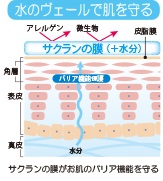 水野ヴェールで肌を守る